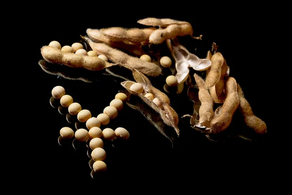 Sójové boby tvoří Yuan symbol. Sojový trh. Zemědělství sojové lusky. — Stock fotografie