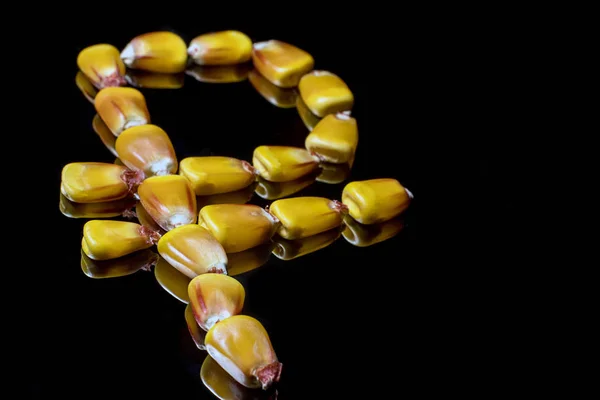 Núcleos de maíz que forman el símbolo del rublo. Mercado de maíz. Granos de maíz . — Foto de Stock