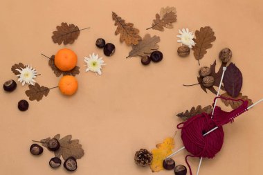 Kestane, ceviz ve yaprakları dekoratif sonbahar kenarlık