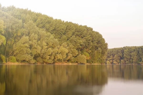 Groene bomen met reflectie op de rivier met zonlicht. — Stockfoto