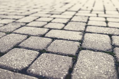 Park vintage tarzı tuğla yolu.