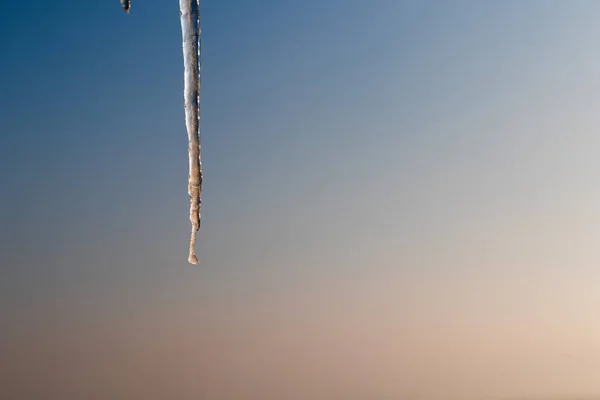 Våren istappar. Närbild av smältande istappar på en vårdag — Stockfoto