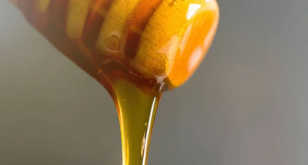 Honey dipper close-up. Honey dripping from a wooden dipper. — Stock Photo, Image