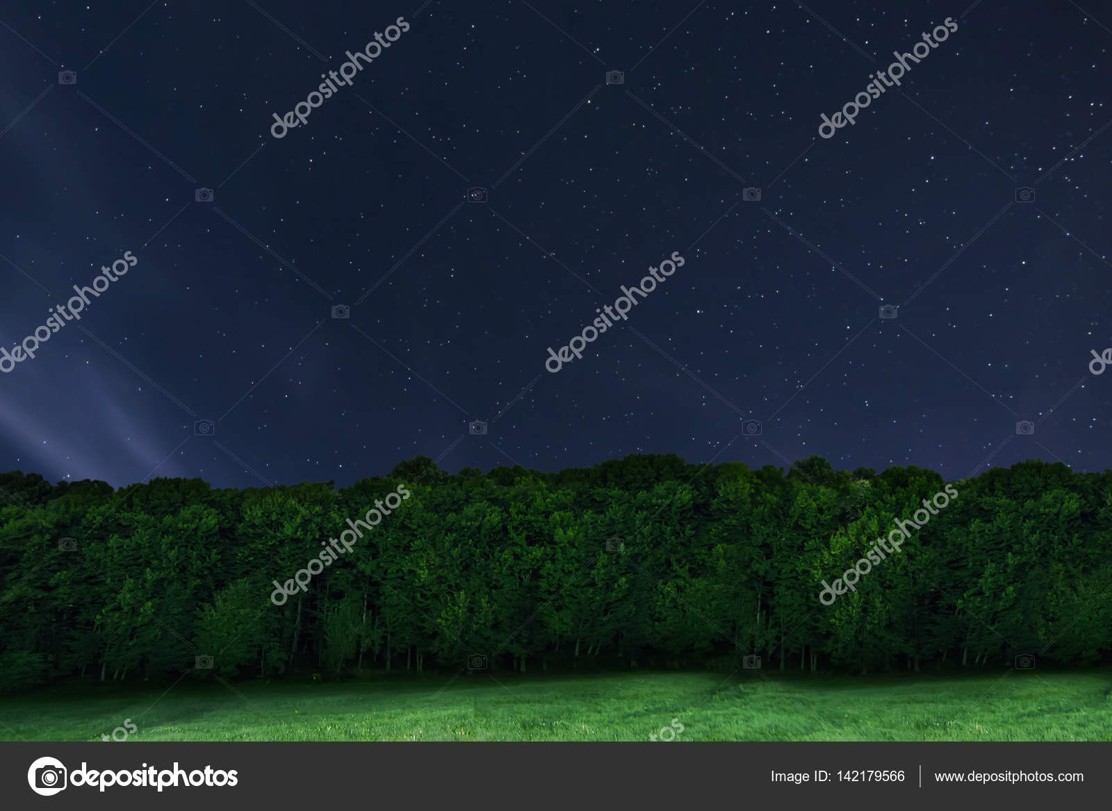 Night Forest Background Night Starry Sky Night Sky With Star Stock Photo Image By C Allexxandar