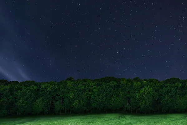 밤 숲 배경입니다. 밤 별이 빛나는 하늘. 밤 하늘 별 — 스톡 사진