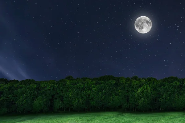 Tle lasu niebo noc z księżyca i gwiazd. Pełnia księżyca. — Zdjęcie stockowe