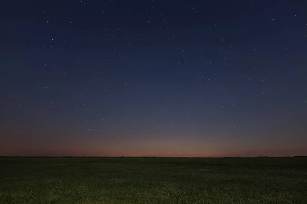 Nacht weide achtergrond. Sterrenhemel van de nacht. Nachtelijke hemel met sterren — Stockfoto