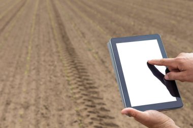 Çiftçi tarımsal ekili alandaki tablet bilgisayar kullanarak. W