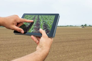 Akıllı tarım. Çiftçi tablet dikim Mısır kullanarak. Modern Agr