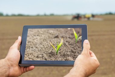 Akıllı tarım. Çiftçi tablet kullanma. Frost zarar bitkiler.