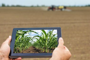 Akıllı tarım. Çiftçi tablet dikim Mısır kullanarak. Modern Agr