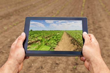 Akıllı tarım. Kullanarak çiftçi soya dikim tablet. Modern tarım