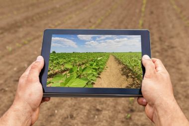 Smart agriculture. Farmer using tablet Soy planting. Modern Agri clipart