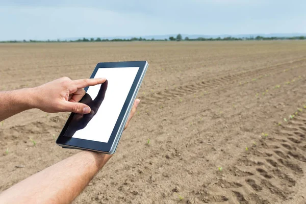 Landbouwproducent met gebruikmaking van tablet pc in agrarische ontgonnen veld. W — Stockfoto