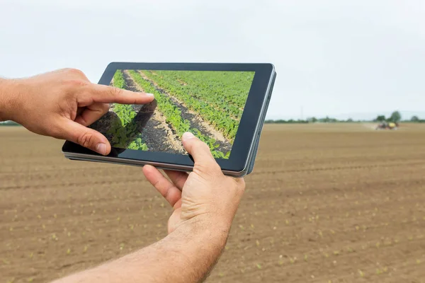 Agricultura Inteligente Agricultor Usando Tablet Plantação Soja Conceito Agricultura Moderna — Fotografia de Stock