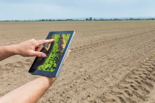 Έξυπνη γεωργία. Αγρότης που χρησιμοποιούν tablet σόγιας φύτευση. Σύγχρονη Agri — Φωτογραφία Αρχείου