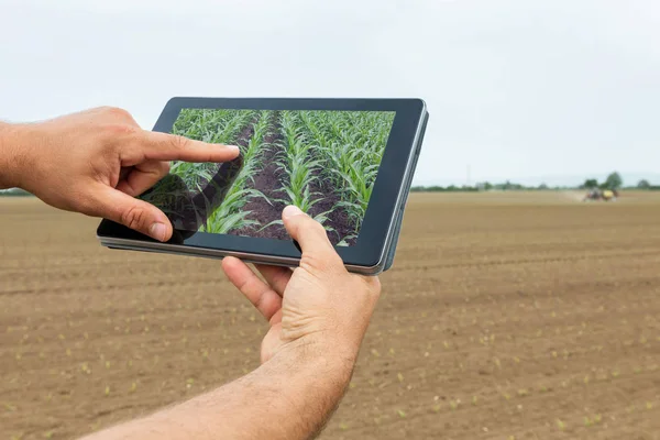 Έξυπνη γεωργία. Γεωργός χρησιμοποιώντας tablet καλαμποκιού φύτευση. Σύγχρονη Agr — Φωτογραφία Αρχείου