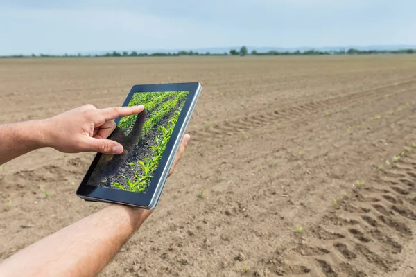 Έξυπνη γεωργία. Γεωργός χρησιμοποιώντας tablet καλαμποκιού φύτευση. Σύγχρονη Agr — Φωτογραφία Αρχείου