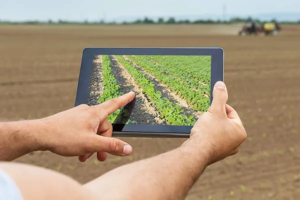 Smart jordbruk. Jordbrukare som använder tablet soja plantering. Modern Agri — Stockfoto