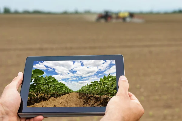 Agricultura inteligente. Agricultor usando tablet plantação de soja. Agri moderna — Fotografia de Stock