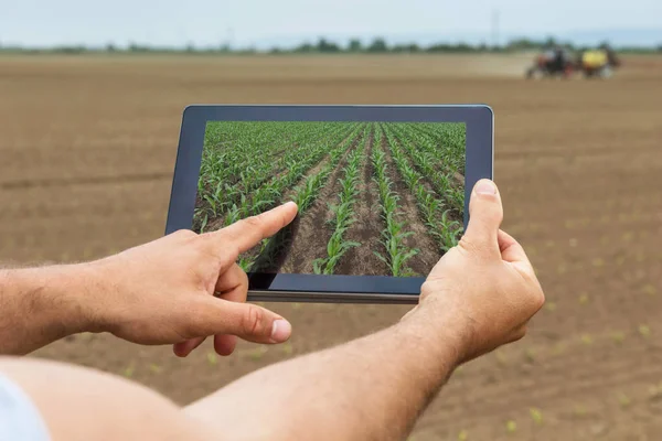 Agricultura inteligente. Agricultor usando tableta de maíz plantación. Agr moderno — Foto de Stock