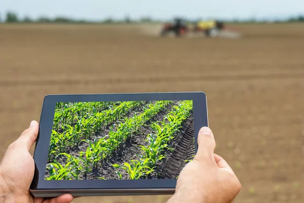 Une agriculture intelligente. Agriculteur utilisant la plantation de maïs comprimé. Agr moderne — Photo