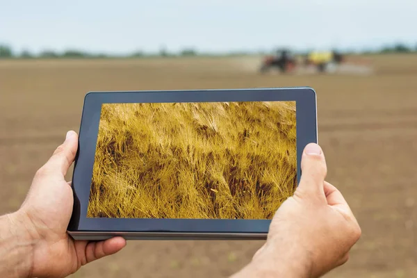 Slimme landbouw. Landbouwproducent met gebruikmaking van tablet tarwe aanplant. Moderne Ag — Stockfoto