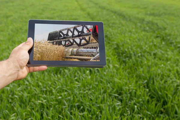 在麦田上使用平板电脑。现代农业。小麦期货 c — 图库照片