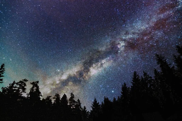 Galaxia Vía Láctea, cielo estrellado con árboles. Noche estrellada . — Foto de Stock