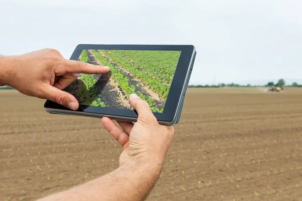 Chytré zemědělství. Farmář, pomocí tablet, pěstování sóji. Moderní zemědělství — Stock fotografie