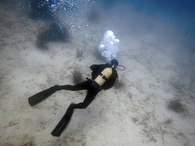 Dalgıç su altında. Tüplü dalış