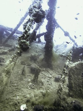 Sualtı batık. Sualtı batık.