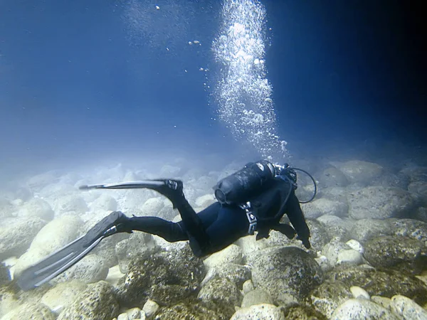 水中ダイバー。スキューバ ダイビング — ストック写真