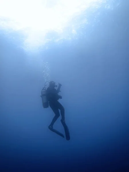 Plongée sous-marine. Plongée sous marine — Photo