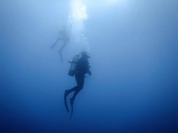 Grupo Buceadores Fondo Submarino — Foto de Stock