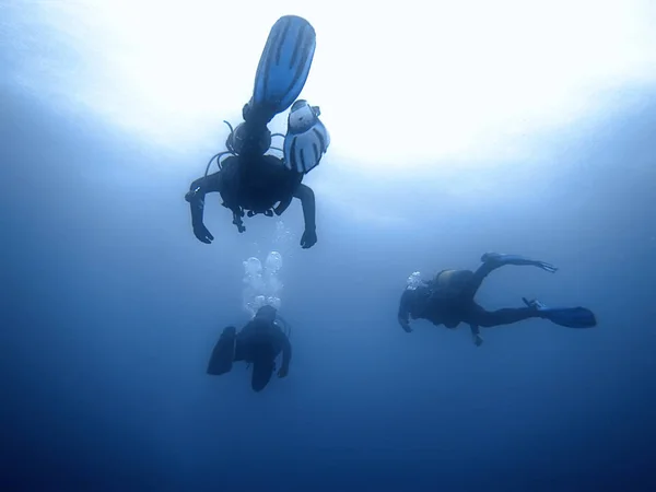 Gruppe von Tauchern unter Wasser Hintergrund. — Stockfoto