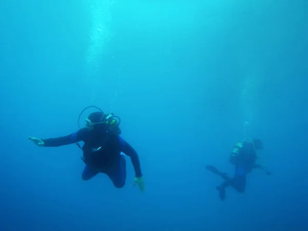 Buceo de buceo. Buceadores bajo el agua . — Foto de Stock