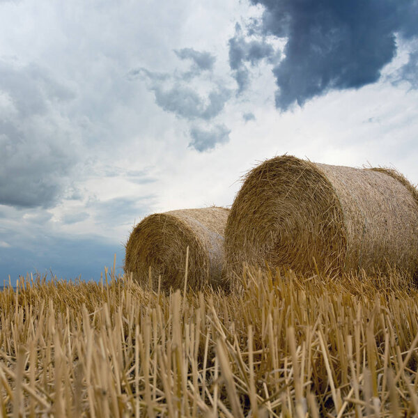 Straw bales on farmland Storm clouds.