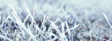 Arka plan çim hoarfrost ile kaplı. Frost sabah