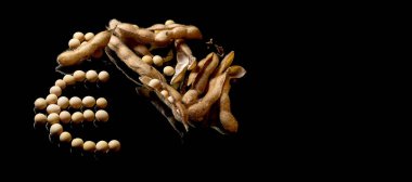 Euro simgesini oluşturan soya fasulyesi. Soya Pazar. Tarım Soybea