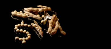 Soya fasulyesi Doları sembolü şekillendirme. Soya Pazar. Tarım Soyb