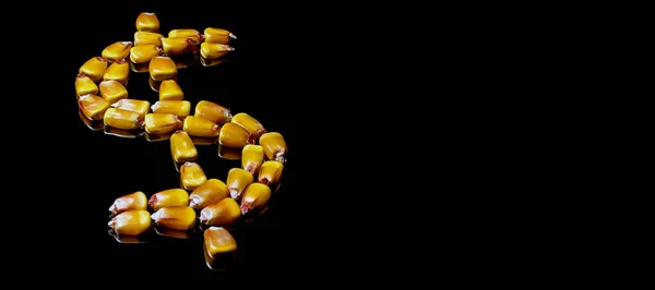 Grânulos de milho formando símbolo Dólar. Mercado de milho. Grãos de milho . — Fotografia de Stock