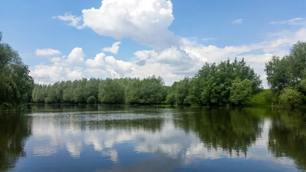 Las jezioro pod błękitnym chmurnym niebem — Zdjęcie stockowe