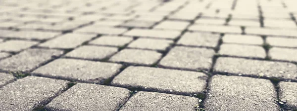 Park vintage tarzı tuğla yolu.