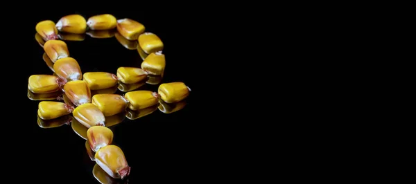 Núcleos de maíz que forman el símbolo del rublo. Mercado de maíz. Granos de maíz . — Foto de Stock