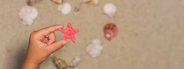 Child holds red starfish. Sea shells on sandy beach. Summer back — Stock Photo, Image