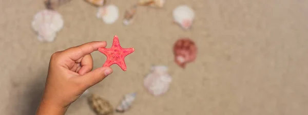 Kind houdt rode zeester. Zeeschelpen aan zandstrand. Zomer terug — Stockfoto