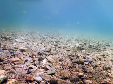 Sualtı çakıl nehirler ve göller tatlı su yüzey su.