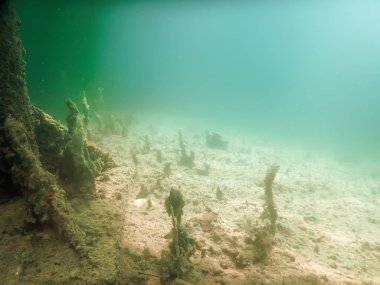 Bir iskele sualtı şartını. Sualtı sahne.