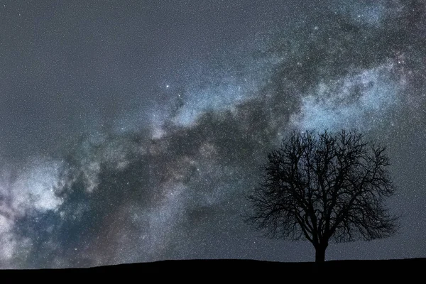 Vía Láctea y árbol. Paisaje nocturno. Fondo espacial . — Foto de Stock